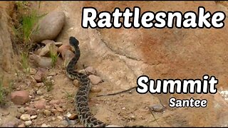 Rattlesnake at the Summit