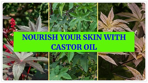 What are the Benefits of Castor Oil for Skin