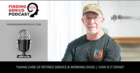 Taking Care Of Retired Service & Working Dogs | How Is It Done?