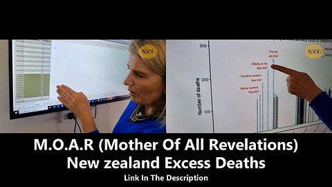 M.O.A.R (Mother Of All Revelations) - New Zealand Excess Deaths