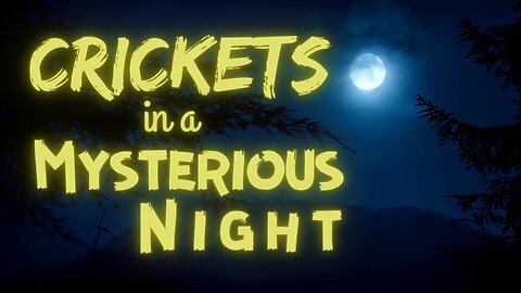 Crickets in a Mysterious Night | Crickets at Night | Ambient Sound | What Else Is There?