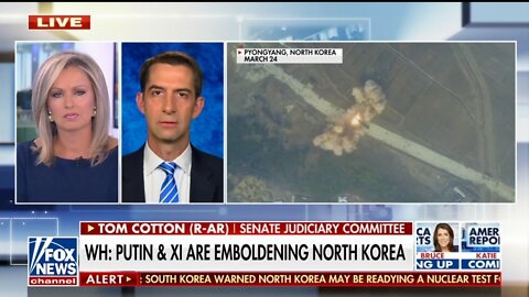 Sen Tom Cotton: Anti-America Dictators Can Smell Weakness