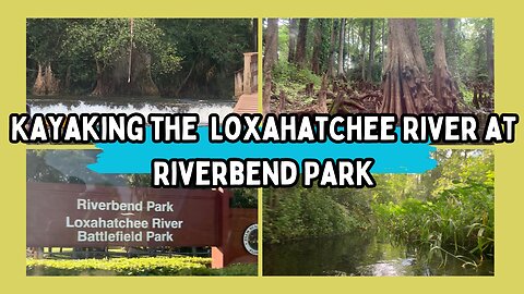 Kayaking at Riverbend Park on the Loxahatchee River in South Florida