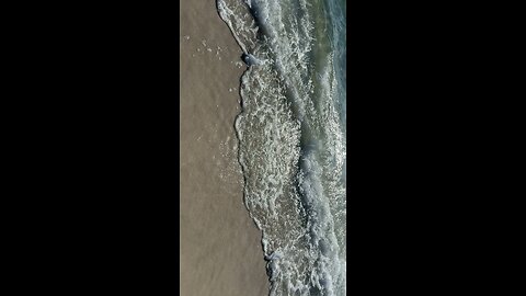 Florida Beach