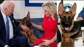 The Biden's Are Pitidiots With German Shepherds
