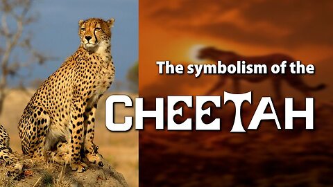 The symbolism of the Cheetah