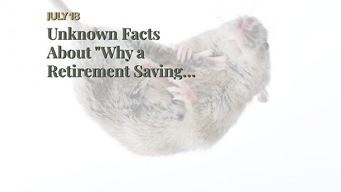 Unknown Facts About "Why a Retirement Savings Investment Plan is Essential for Financial Indepe...
