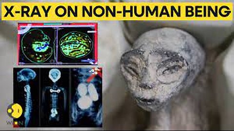 Mexican UFO expert conducts x-rays on 'non-human' beings presented at Congress