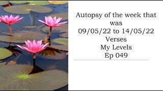 Ep 049 Autopsy of last weeks levels