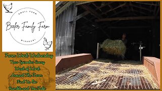 Getting Our Hay Back from The Neighbor