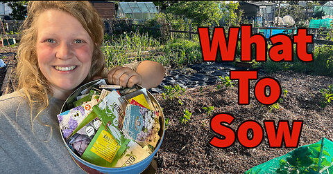 Late Spring Seed Sowing: The Best Seeds to Plant for a Bountiful Allotment Harvest