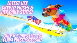 Latest Hex Crypto Prices & Hex Daily Stats! Only 4.5 Days Left To Claim PulseDogeCoin!