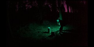 Putting my axe away. Woodland wildcamping. Nightlapse 20th Jan 2023