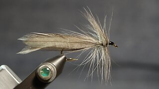 Hackle-Wing Streamer (Fling & Puterbaugh 17/30)