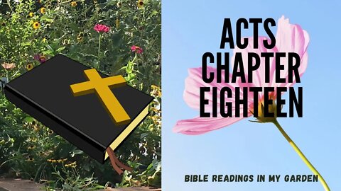 ACTS Chapter 18 | NRSV Bible