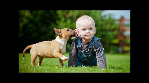 Cutes dogs | Cutest dog in the world | Cute dogs clips 2023