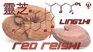 Reishi is a wimpy Adaptogen but there are 9 reasons to use it anyways...