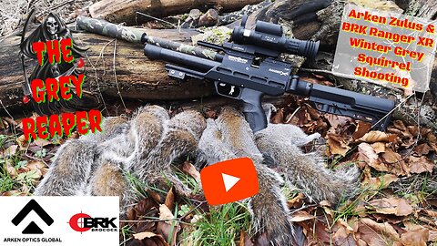 Winter Grey Squirrel Shooting with Arken Zulus and BRK Ranger XR