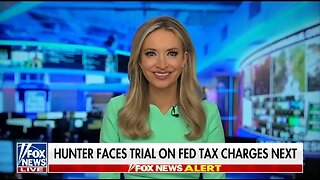 Kayleigh McEnany: This Is Why Hunter Has To Take Plea Deal In Tax Evasion Case