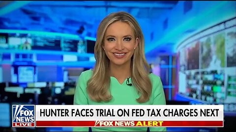 Kayleigh McEnany: This Is Why Hunter Has To Take Plea Deal In Tax Evasion Case