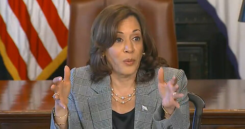 Kamala Harris Attempts to Explain AI in Latest Word Salad Gaffe: 'Kind of a Fancy Thing'