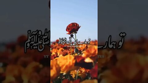 Jis Bimari Se Hamare Nabi Paakﷺ Is Duniya Se Parda Farmayen Tasleema writes Urdu Status