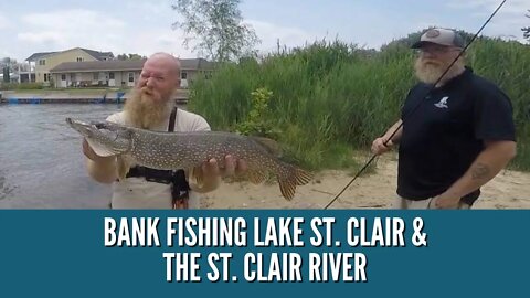 Michigan Bank Fishing / Fishing Anchor Bay Lake St. Clair & St. Clair River Fishing / Perch, Pike +