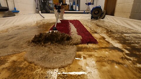 Red Shaggy Rug Is Caked In Mud. Satisfying ASMR Timelapse.