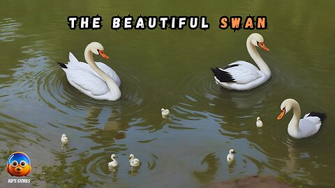 The Beautiful Swan