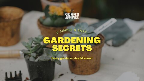 6 simple and easy gardening secrets every gardener should know