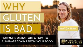 Why Gluten Is Bad ~ And How to Eliminate Toxins from Foods