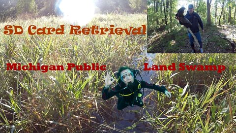 Michigan Public Land Swamp SD Card Change From Tactacam Reveal - Shooter Bucks!! Deep Water Entry