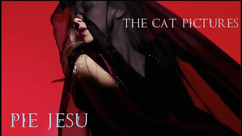 The Cat Pictures (feat. Fox Lima of Enigma) - Pie Jesu
