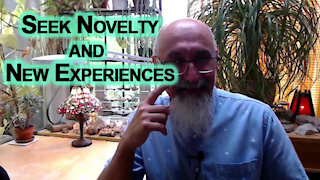 Seek Novelty, Be Open to New Experiences, Challenge Yourself, Decentralize Your Life (Advice)