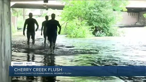 Cherry Creek path to flood during flush
