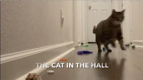 The Cat In The Hall