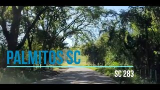 Palmitos SC