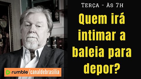 Quem irá intimar a baleia para depor?