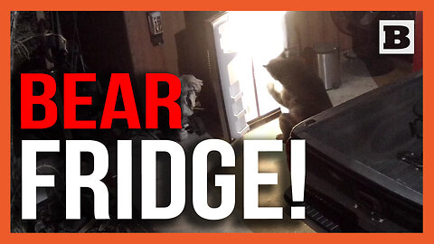 This Fridge Is BEAR! Bear Disappointed After Breaking into Garage Refrigerator