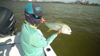 Tampa Bay Apollo Beach Jack Crevalle and Snook Fishing