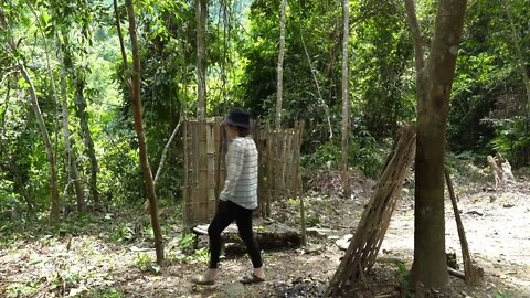 11* Build a bamboo fence around the house to set up animal traps.