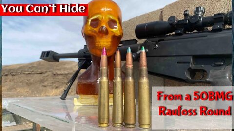 You Can't Hide From a 50 BMG Raufoss Round
