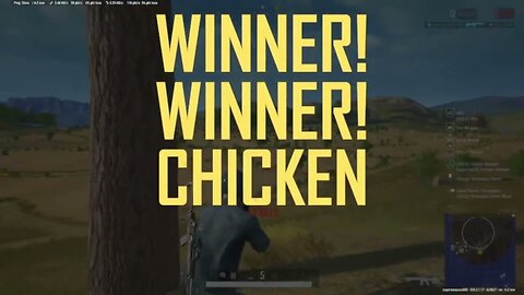 winner winner chicken dinner pubg pc