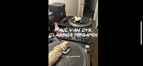 Paul Van Dyk vinyl classics megamix by Dragon Cloud