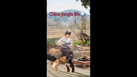 China Jungle Life The life of cucumbersChina Jungle Life 黄瓜的一生Probashi08 Channel