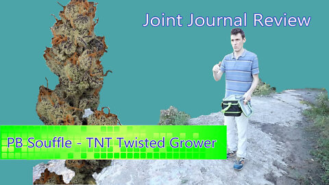 Kushector Joint Journal Review - PB Souffle by: TNT Twisted Grower