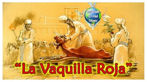 287. "La Vaquilla Roja"