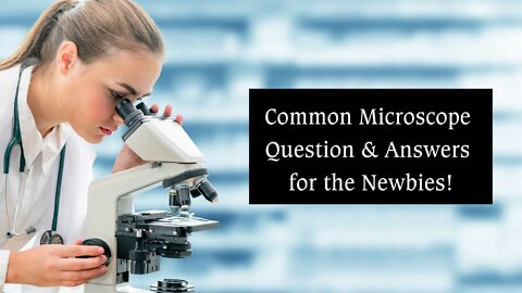 COMMON MICROSCOPE QUESTION & ANSWERS FOR THE NEWBIES!