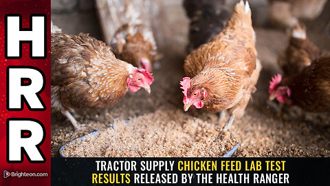 Tractor Supply chicken feed lab test results released by the Health Ranger