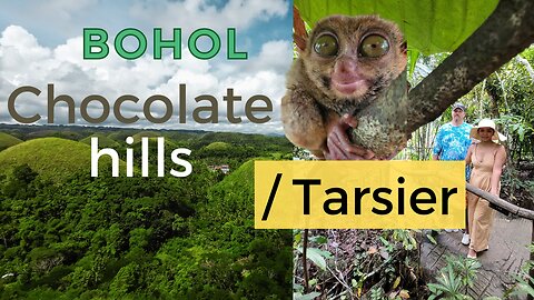 Discovering the Mystical Chocolate Hills and Rare Tarsiers: A Philippines Adventure